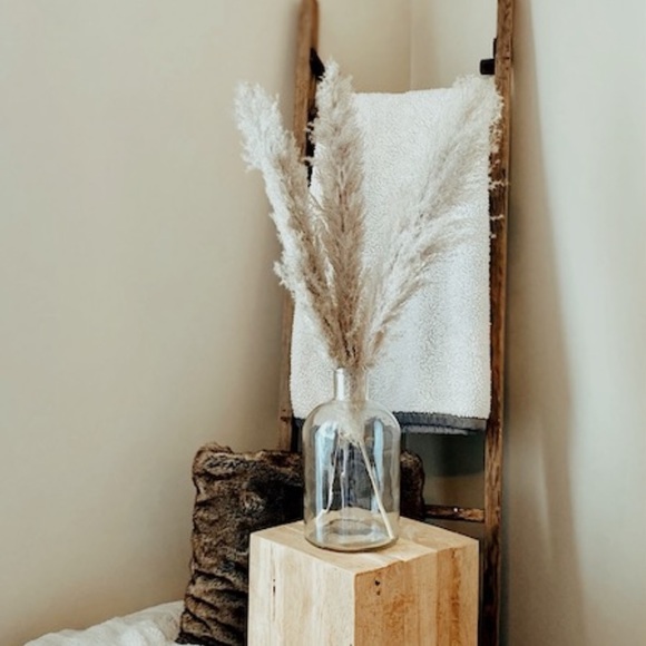 PAMPAS GRASS dried natural grasses 3 STEMS - Picture 2 of 3